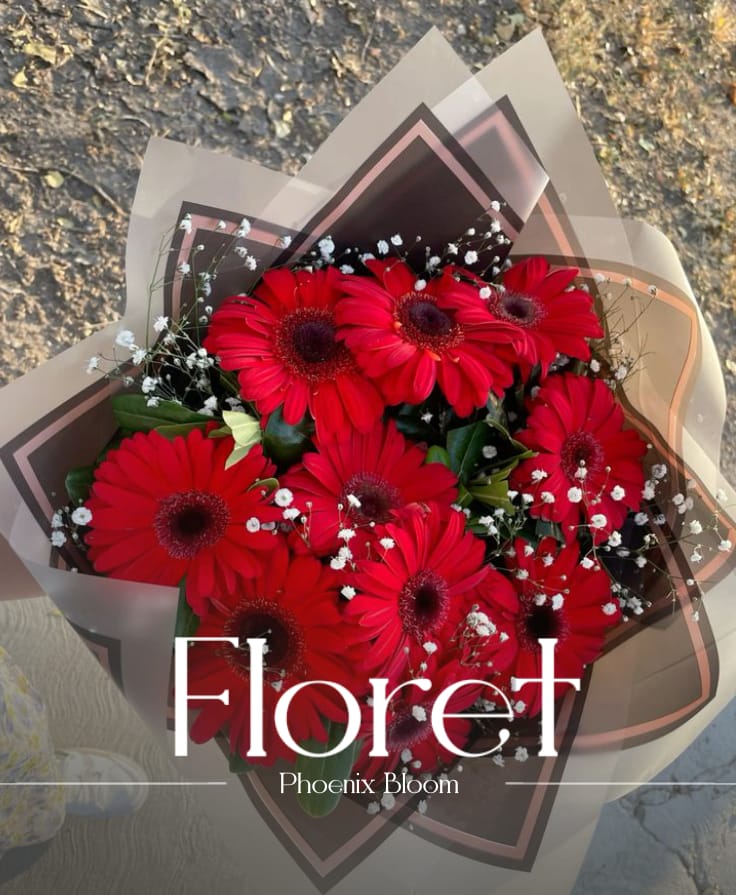 Phoenix Bloom bouquet — Crimson gerberas, rising bright from the ash