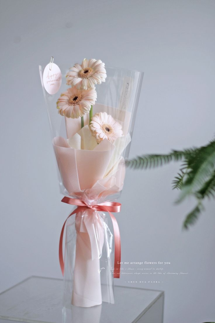 Pink Elegance bouquet — Three blush daisies, smiling shyly through cellophane