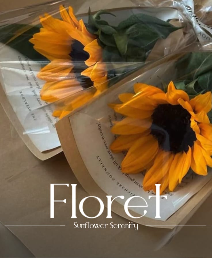 Sunflower Serenity bouquet — A single sunflower, simply wrapped